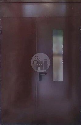 Дверь двустворчатая стальная с верхней вставкой (порошковый окрас и стеклопакет)-ДВ-1861