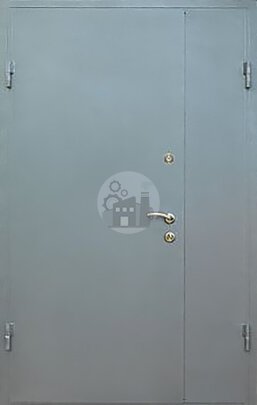 Двустворчатая стальная дверь в офис, окрас нитроэмаль-ДВ-935